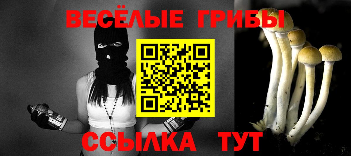 купить   Галлюциногенные грибы Psilocybe  Вход с VPN  Тольятти  Псилоцибиновые грибы мухоморы 